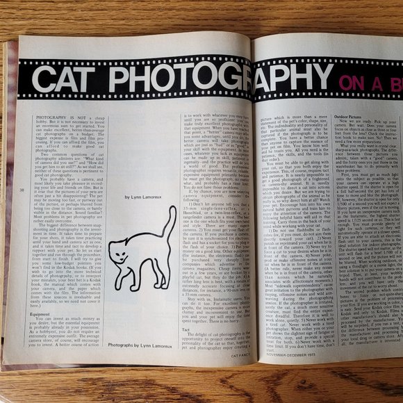 Vintage December 1973 Cat Fancy Photography, Hemingway Cats, - Picture 12 of 16